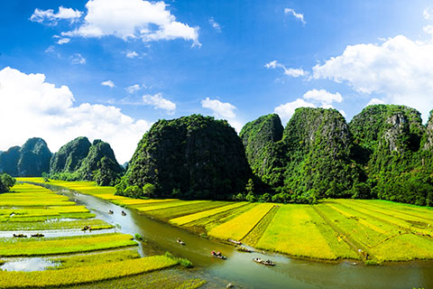 Ninh Binh Tour: Explore Hoa Lu -Tam Coc - Cycling (1 Day trip)