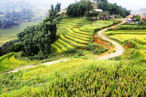 Sapa Tour: Leger trek authentique, Cat Cat,  Ma Tra, Ta Phin