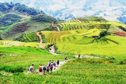 Sapa Tour: Medium trek in Ta Phin, Trung Chai and transfer by Bus