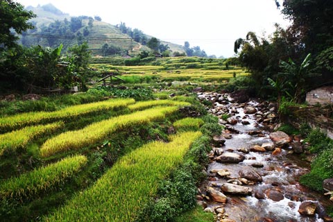 Sapa Tour: Visit Cat Cat, Lao Chai - Ta Van and transfer by Bus