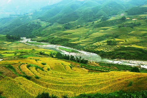 Sapa Tour: Easy trek Lao Chai - Ta Van with homestay and transfer by Bus